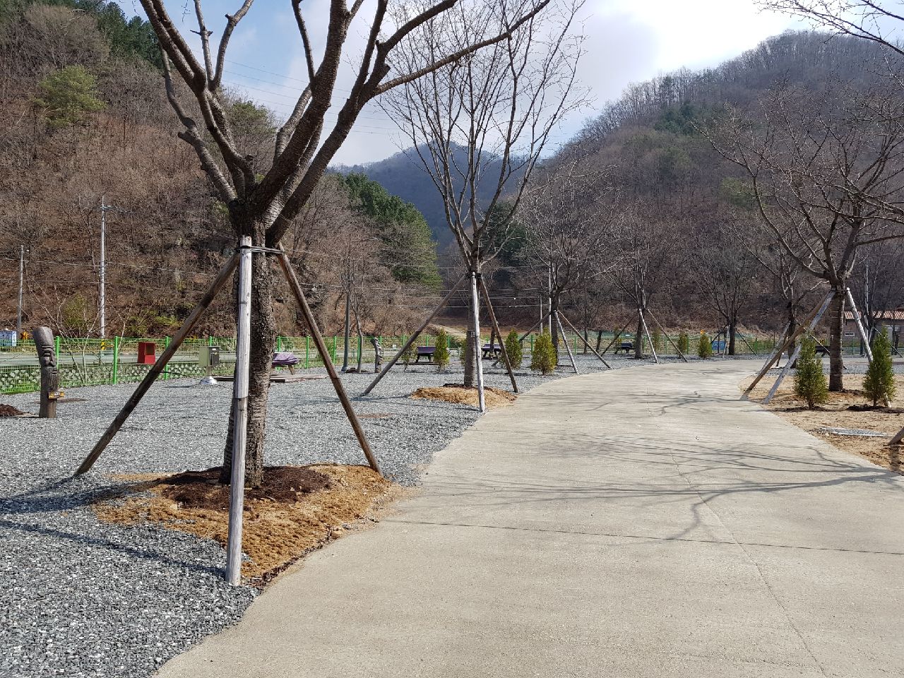 Resized_20180409_102117_7206.jpg